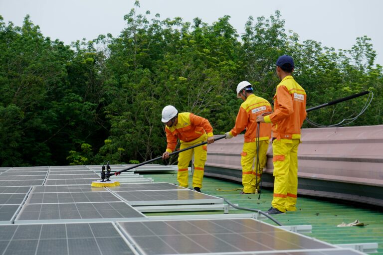 Solar panel cleaning