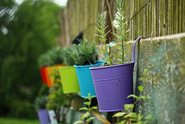 container for indoor plants
