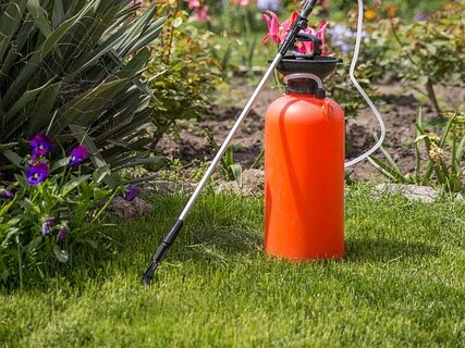 fertilize houseplants